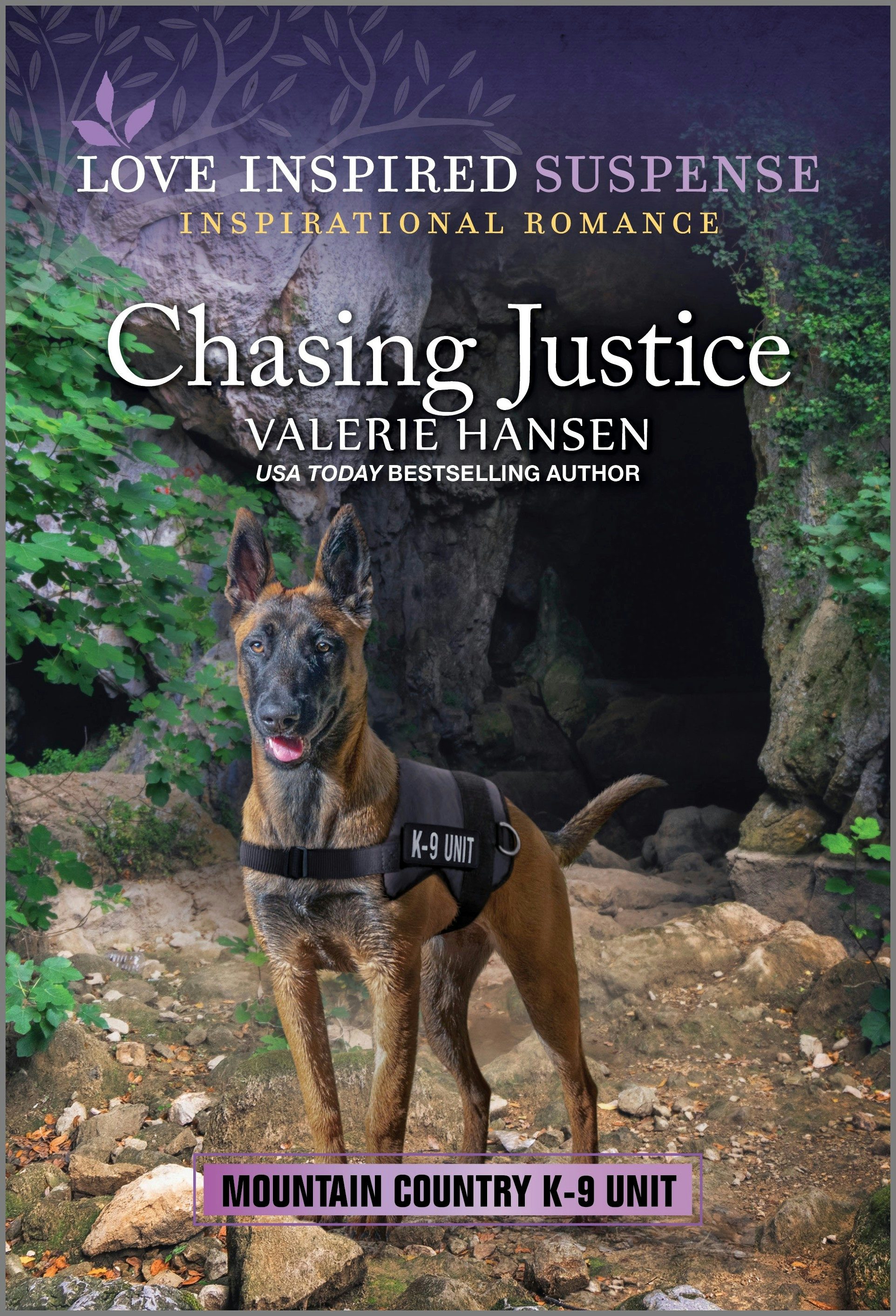 Chasing Justice by Valerie Hansen | Buy direct from publisher – Mills ...
