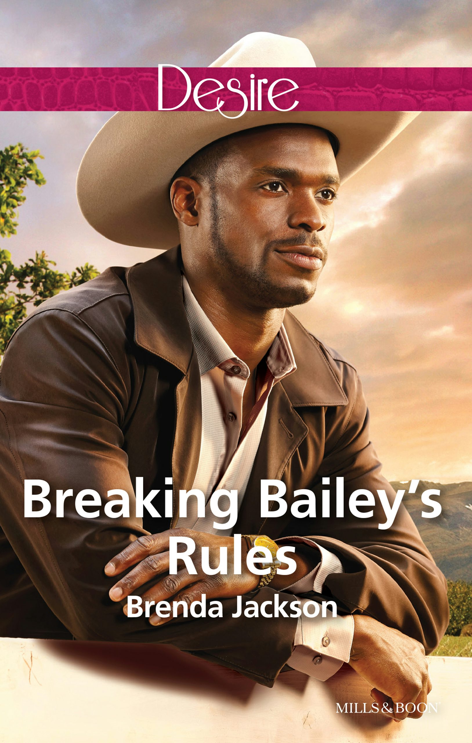 Breaking Bailey's Rules by Brenda Jackson | Buy direct from publisher ...