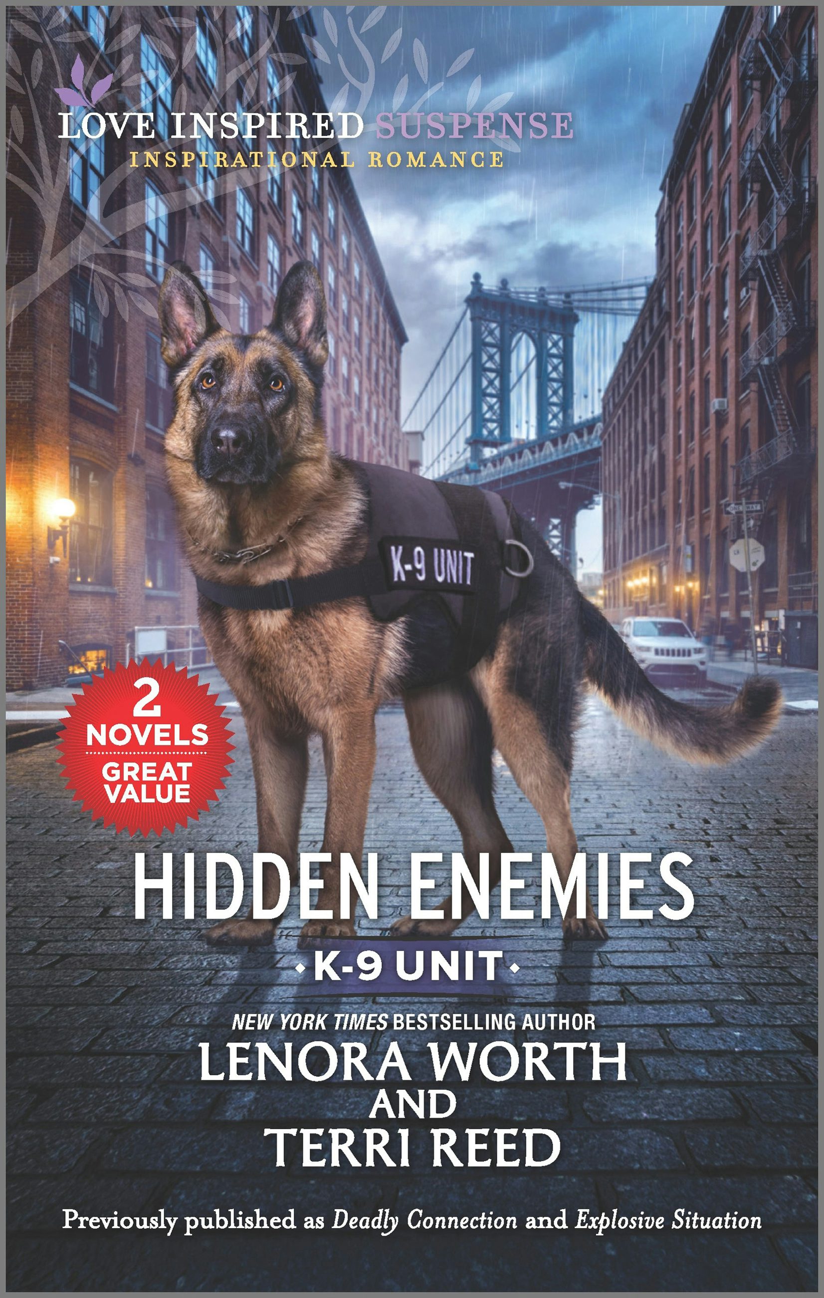 Hidden Enemies by Lenora Worth | Buy direct from publisher – Mills ...